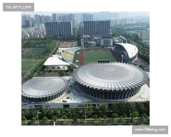 以比赛场馆为核心的城市发展与体育赛事举办的协同作用分析